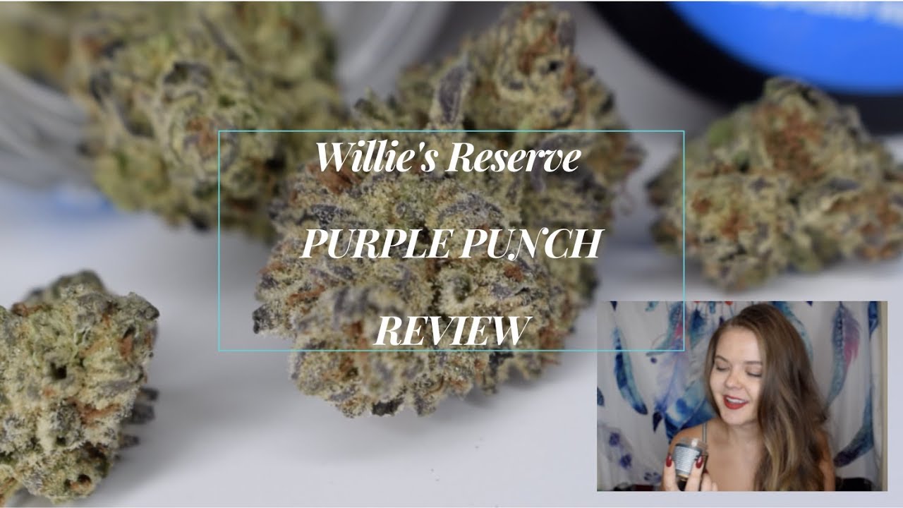 Unboxing & Review of Purple Punch Cannabis from Willie's Reserve / BEYOND THE BUD