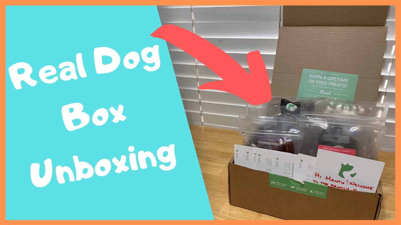 Real Dog Box Unboxing Video YouTube