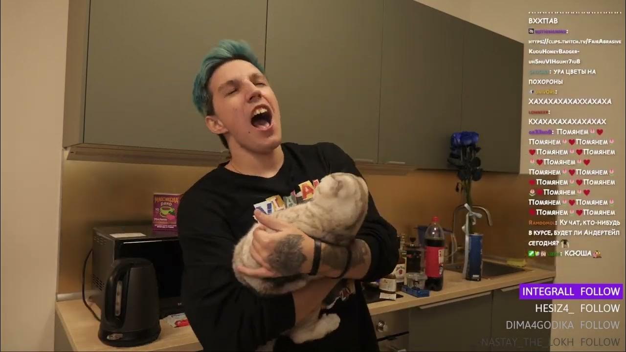 Мазелов стример. Мазелов беременна. Cmh и мазелов. Мазелов беременна в 16. Мазелов стример.