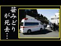 笹みどりの悲惨過ぎる○因がヤバすぎる...笹みどりが「夫を殺した」と涙が止らない...