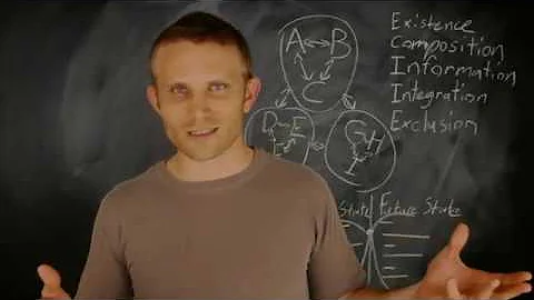 Is Consciousness Emergent? Integrated Information Theory | Peer Academy