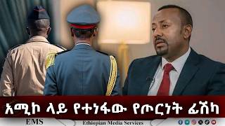 EMS | አሚኮ ላይ የተነፋው የጦርነት ፊሽካ