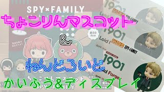 SPY×FAMILY ちょこりんマスコット1BOXと最新ねんどろいどロイド・フォージャーを開封して飾ってみた！『初めてのオタク部屋作り７８』