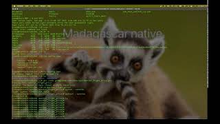 My Broadcast test2