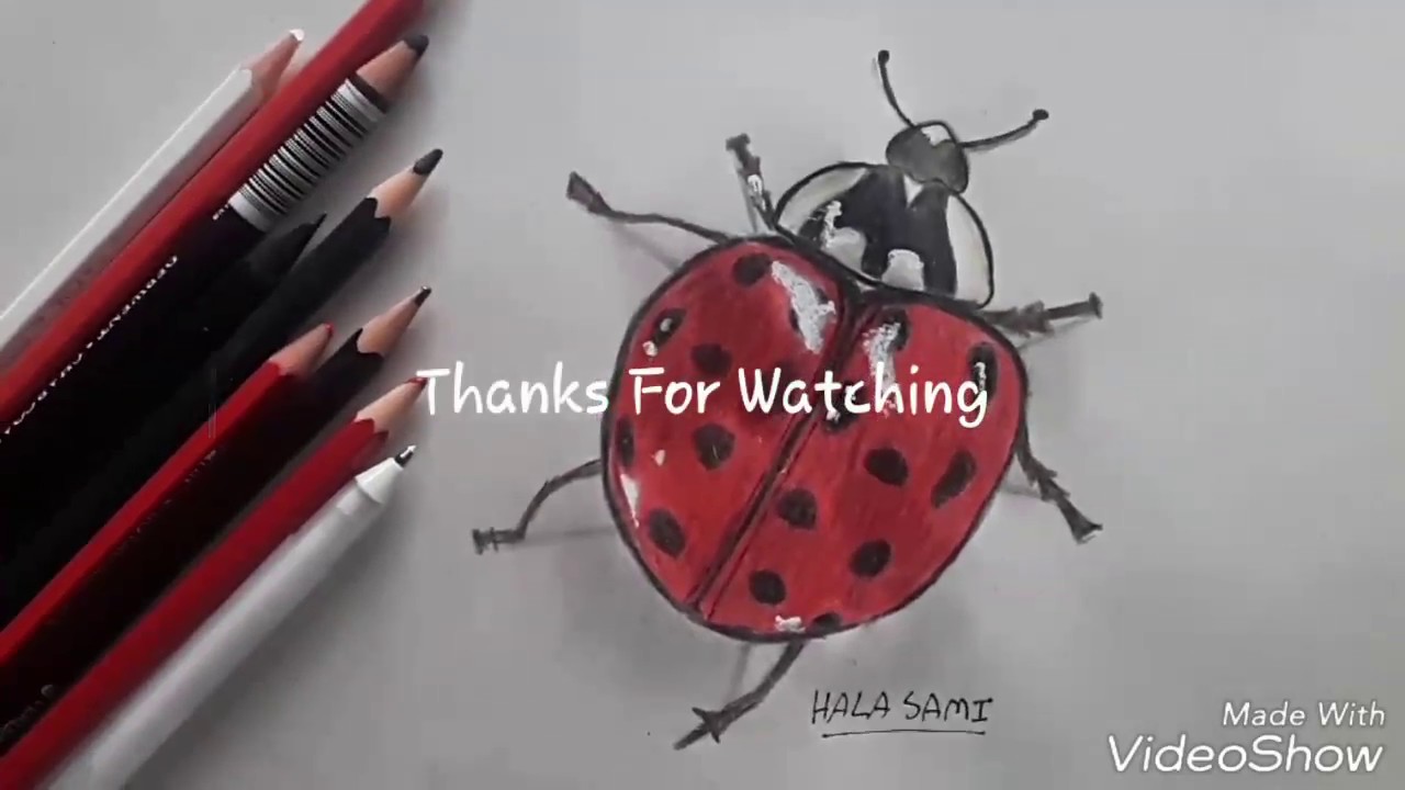 رسم دعسوقة او (lady bug)