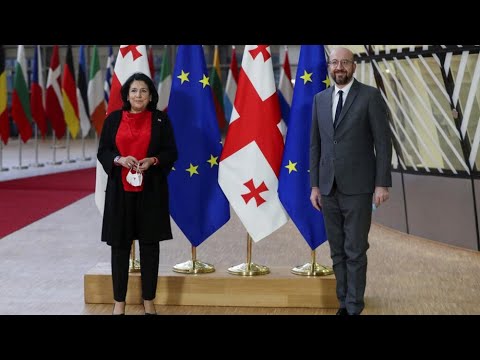 სალომე ზურაბიშვილის და შარლ მიშელის ერთობლივი წერილი