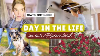 A {Realistic} Day in our Life on the Homestead... by This Gathered Nest 23,767 views 6 days ago 29 minutes