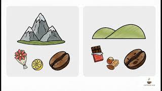 Terroir Explained: How Altitude, Soil, and Climate Define Your Coffee's Flavor | Unpacking the Bean