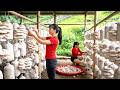 Rewind Timelapse -- Harvest 1000+ kg of Mushrooms on the Largest Farm, Go to Market Sell