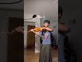 Can’t help falling in love on viola #viola #fallinginlove #violin #soloviola #elvispresley