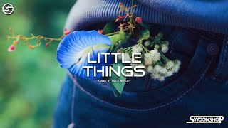 happy dancehall instrumental beat | LITTLE THINGS (prod. by swoonshop)