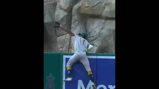 MLB Top Plays (pt 203): Denzel Clarke Robs HR vs Angels #athletics #mlb #baseball #topplays