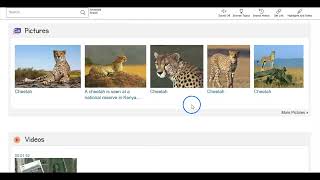 Satisfy Your Curiosity with Gale in Context