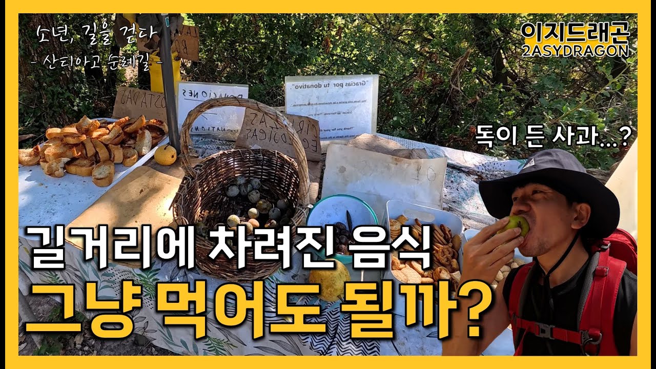 순례길을 걷는데 뷔페가 나왔다 | 푸엔테 라 레이나 ~ 에스떼야 | 산티아고 순례길 EP.7 | 소년, 길을 걷다