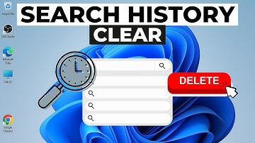 How to Delete Search History in Windows 11 | Clear Windows 11 Search History
