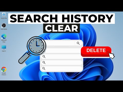 How to Delete Search History in Windows 11 | Clear Windows 11 Search History