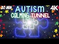 Autism Calming Music Light it up Blue Awareness Tunnel