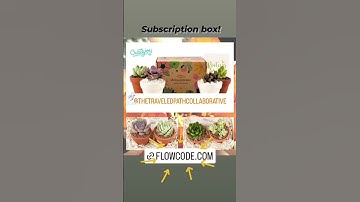 Get your subscription box!  So many to choose from! https://www.flowcode.com/page/thetraveledpath