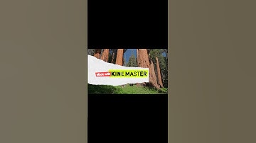 How to create subscribe and bell icon intro | subscribe button animation #shorts #youtubeshortsindia