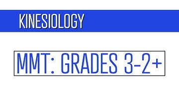 Manual Muscle Testing Grades 3 through 2+