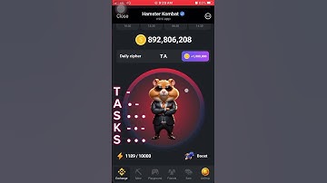 Hamster combat daily cipher || 15 August || #hamsterkombat