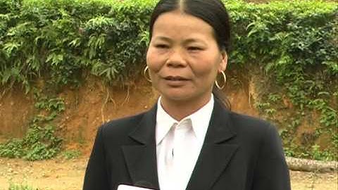 Thái Nguyên đẩy mạnh sản xuất chè an toàn