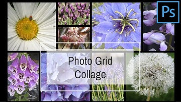 Create a Grid Collage in Photoshop