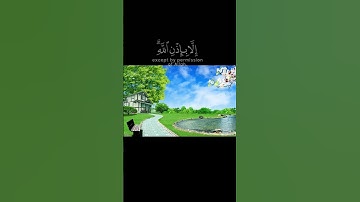 القارئ رعد الكردي 🌸 #تلاوات #القرآن_الكريم #رعد_الكردي