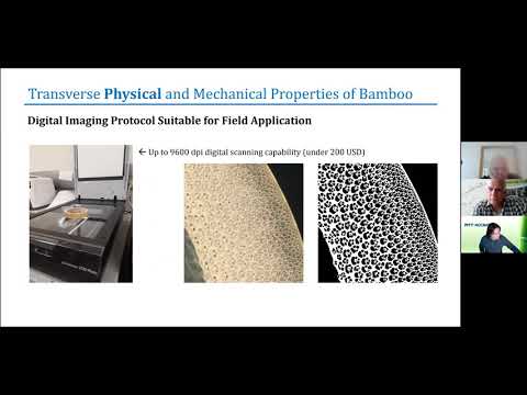 Webinar | Structural use of bamboo culms 17 Nov 2020  (P1)