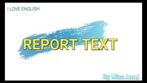 REPORT TEXT