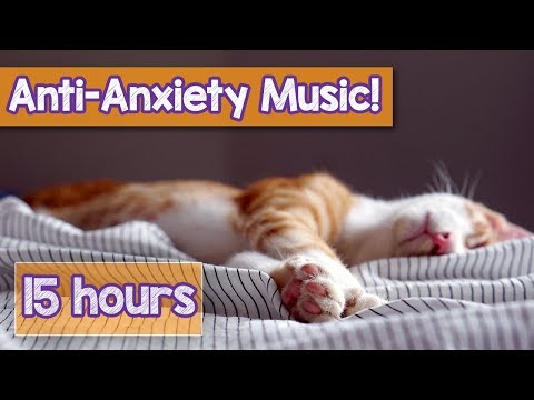 YENİ 2018 Anksiyete ile Kediler için Sakinleştirici Müzik!