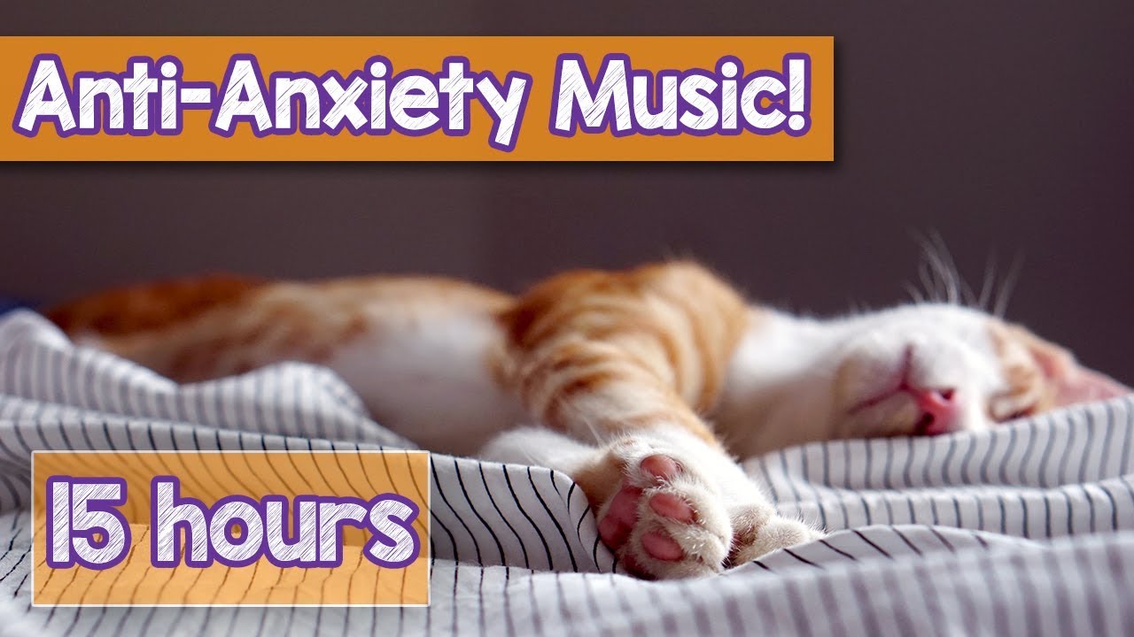 anti anxiety cat music