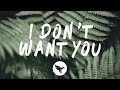 Riton x Raye - I Don't Want You (Lyrics)