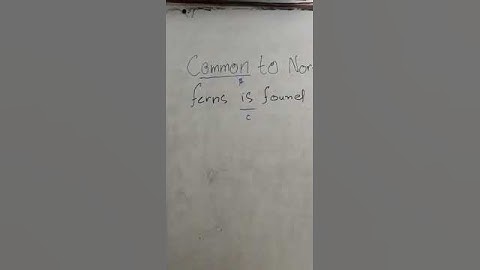 English SMIU university aptitude test past paper solution by Muhammad Amin Sharif part 2