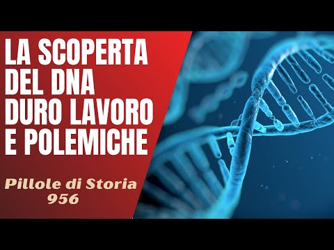 Video: Quale percentuale di DNA è condivisa tra i membri della razza umana?