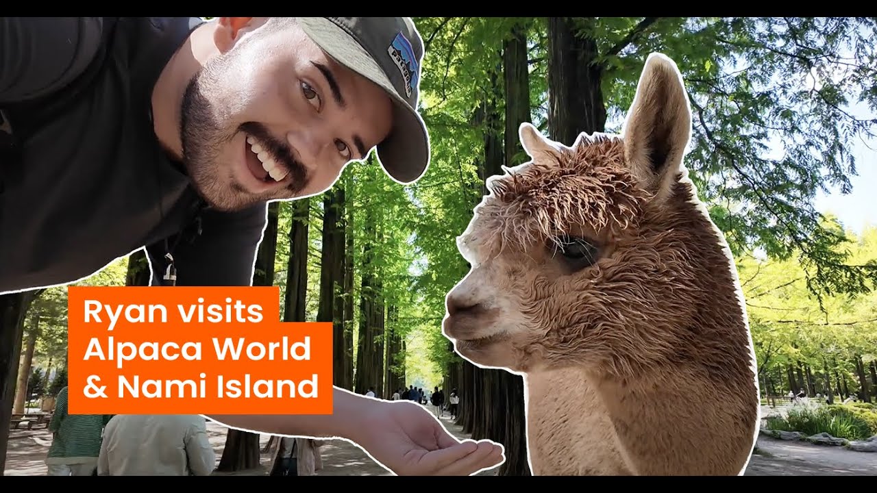 Ryan goes to Nami Island and Alpaca World