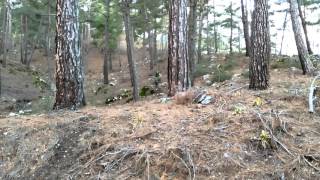 Gökmen Binici Short Drop At Sds Bike Parkour