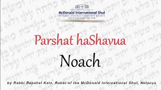 Weekly Parsha with Rav Raphael Katz - 5783 - Noach