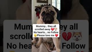 Mummy… they all scrolled away 💔No hearts… no Follow.Please love me ❤️#dogrescue #worldcup#dogselfie