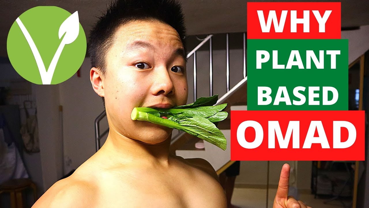 [Why Vegan OMAD🌱]My Journey to Plant Based One Meal a Day Diet+ pros
