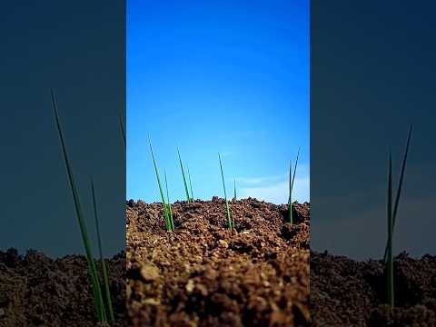 Creative reverse videography ideas_💡◀️_#shorts #shortvideo #photography