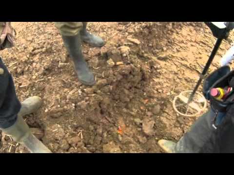 Свой огород ближе, а у соседа богаче!