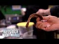 Jerk Chicken Breast Looks Like a Giraffe's Tongue | Kitchen Nightmares