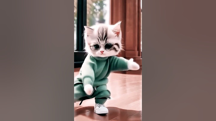 Tauba tauba Dance video/Cat Dance toba toba