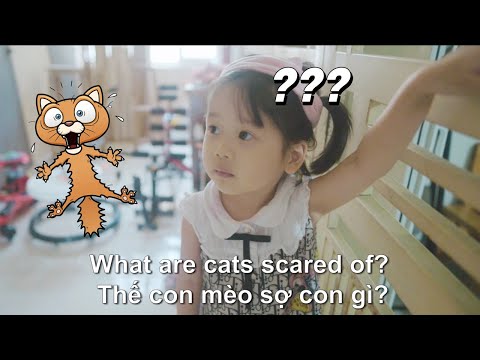 Test tư duy Quá Nhanh bằng tiếng Anh =)) Test tư duy Quá Nhanh bằng tiếng Anh =))