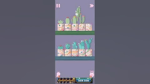 Perfect Tidy Level 111 gameplay walkthrough