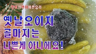오이지 골마지 나쁜게 아니에요,전통오이지 만드는 법,아작아작 옛날오이지 만들기,Traditional Oiji,Cucumbers pickled in salt