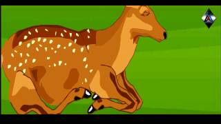 Every moment is a moment of Choice - Flash Animation
