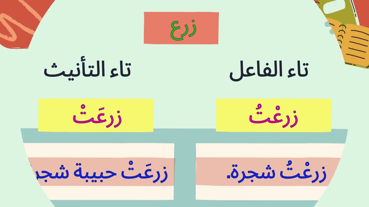 الفرق بين تاء الفاعل وتاء التأنيث      #اعراب #النحو #تعليم #إعراب_الجمل #لغة_عربية