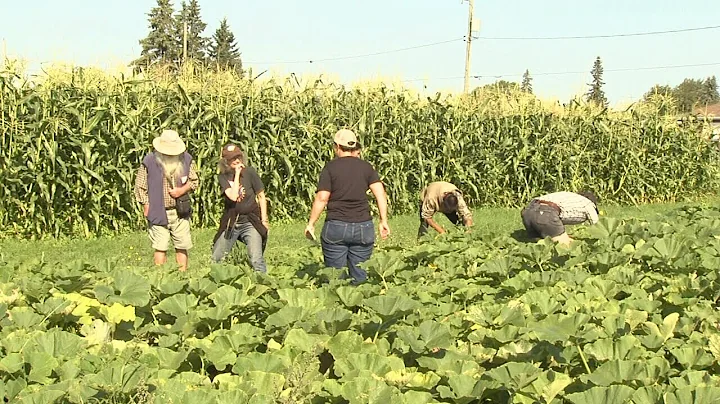 Locally Grown Watermelons Project Encourages Economy